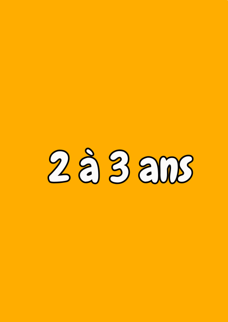 2 à 3 ans