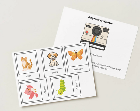 Mon petit Polaroid – Activité découverte 50 cartes d'animaux à imprimer (dès 1 an) - Produit Digital (PDF)